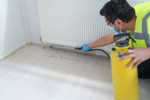 Best Rat Extermination Near Me  in Kentwood, MI