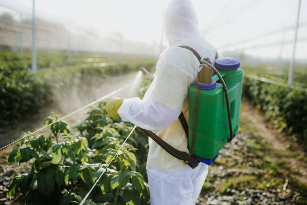 Best Insect Control  in Kentwood, MI